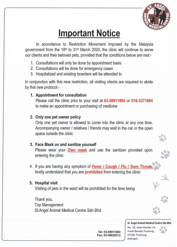 St Angel Animal Medical Centre Home Facebook