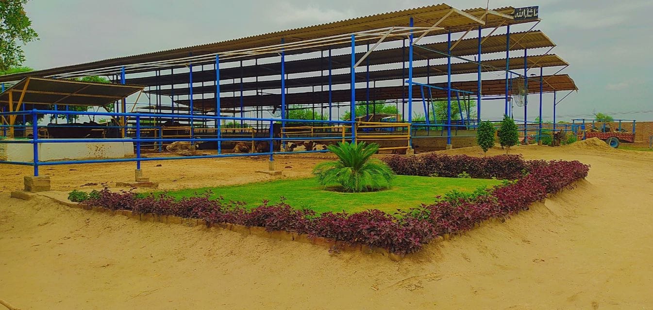 Fazal Dairy Farm - Mian Channu | Mian Channu