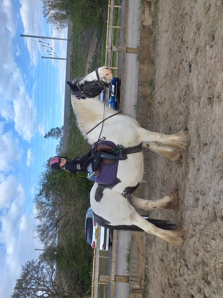 The lovely little Evie... - The Little Ranch Riding Centre