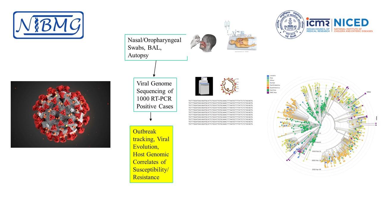 DBT-NIBMG... - DBT - National Institute of Biomedical Genomics | Facebook