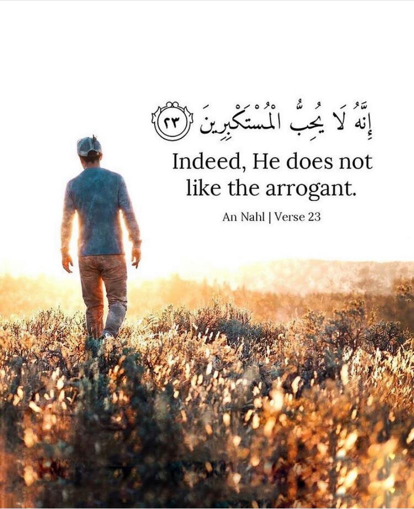 My journey to Islam : Revert stories