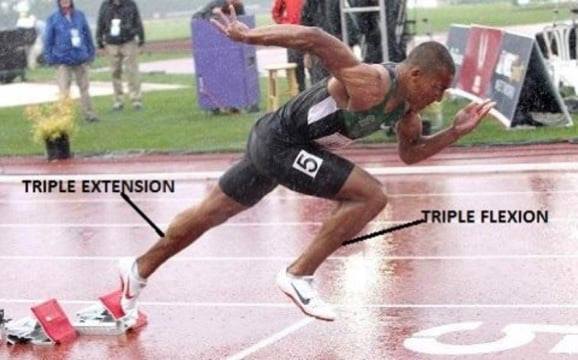 Physio Research - Managing hamstring injuries in track & field 🏃💥 Learn ...