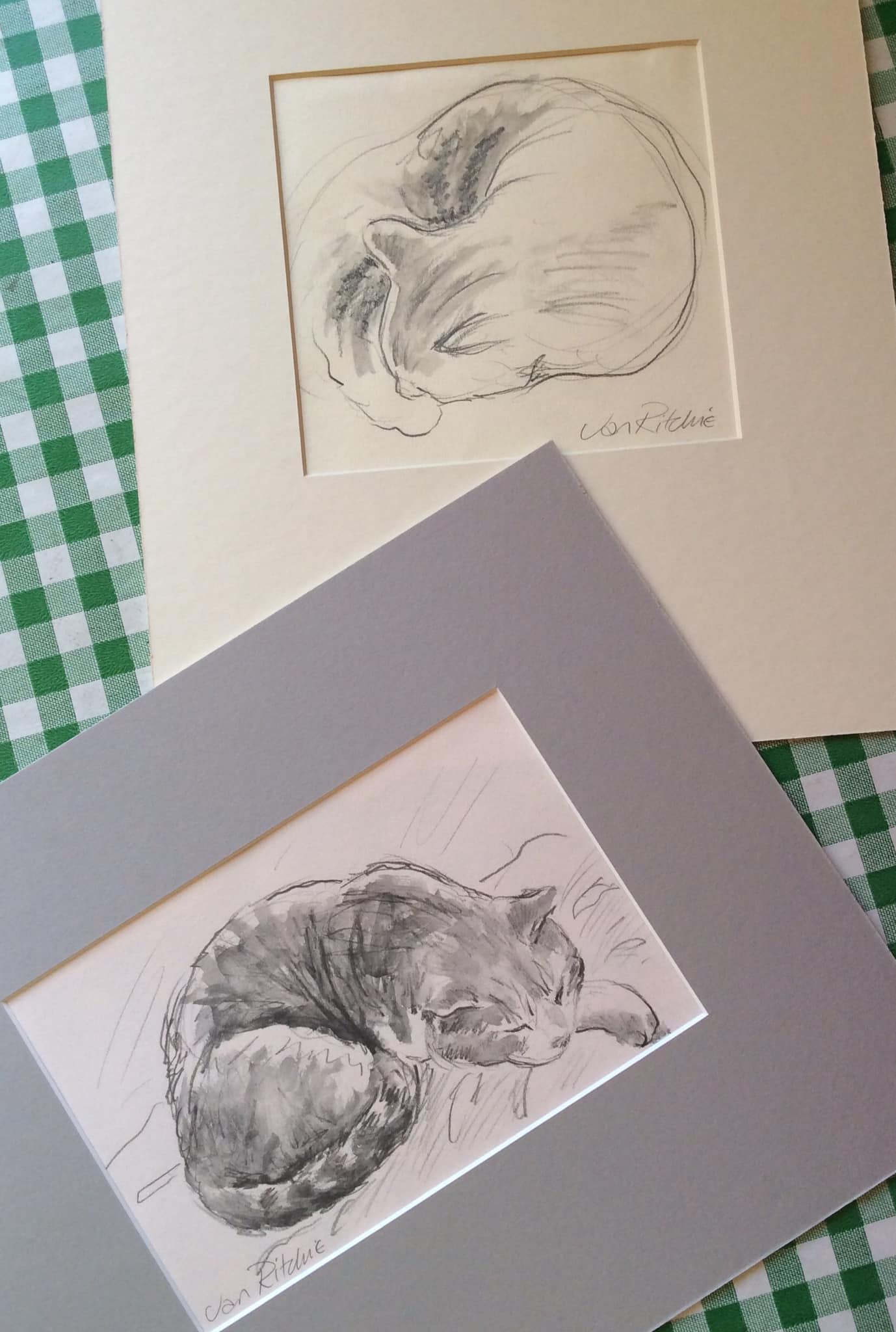 Jan Ritchie Printmaker