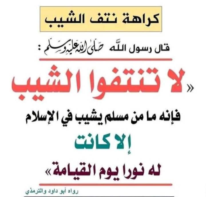 تفاصيل وثائقي دخول نتف الشيب Iphone11caseversace Org