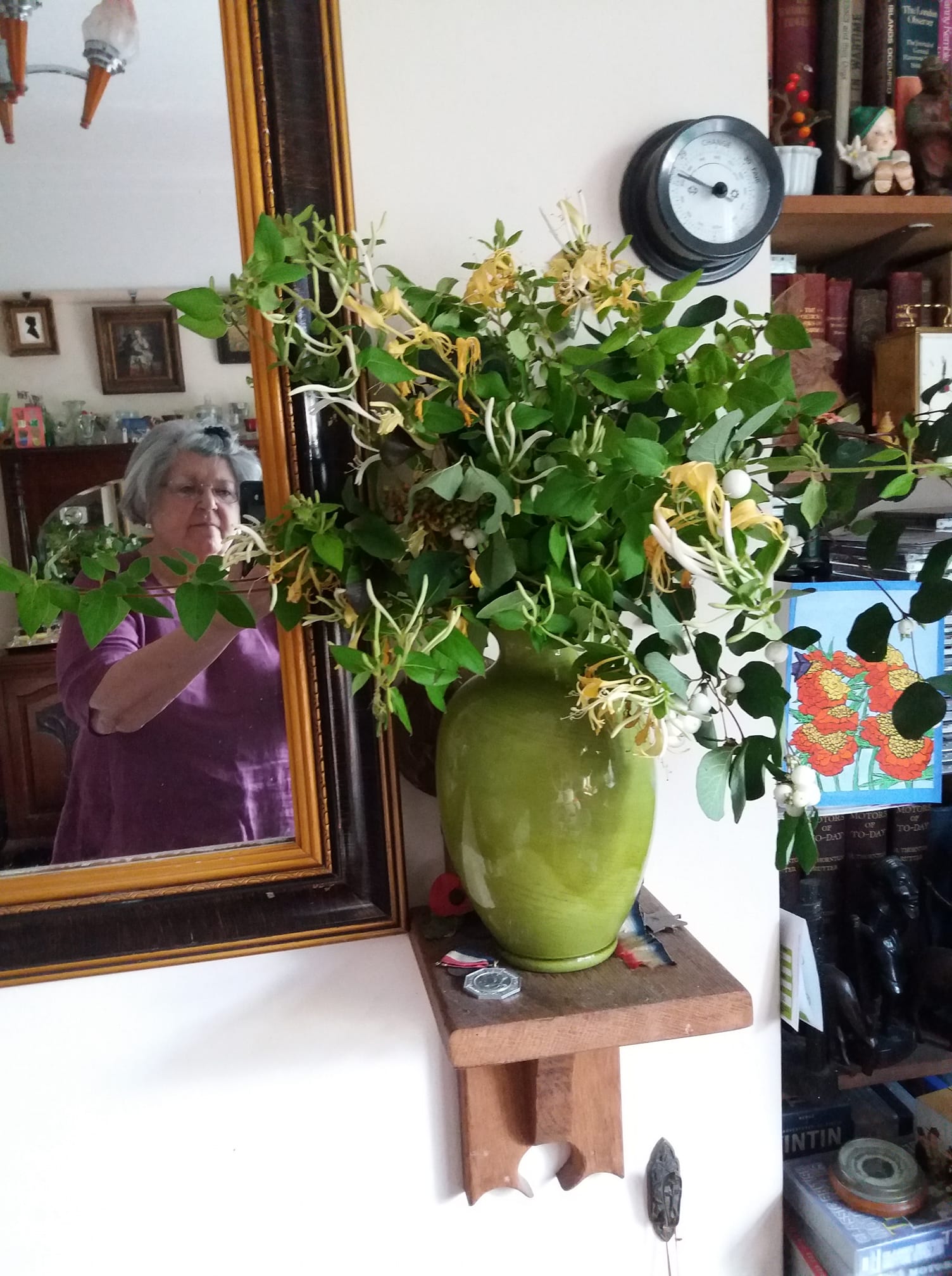 September flowers for gardens and bouquets