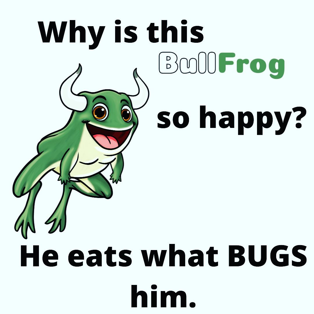 Why are BullFrogs so happy?... - Punny Puns Books and Games | Facebook