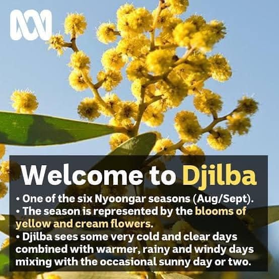 Bunbury Museum and Heritage Centre - We are now in the season of Djilba ...