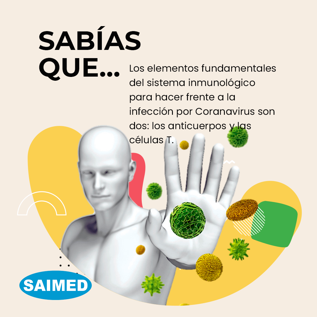 Los elementos fundamentales... - Drogueria Saimed SA de CV | Facebook