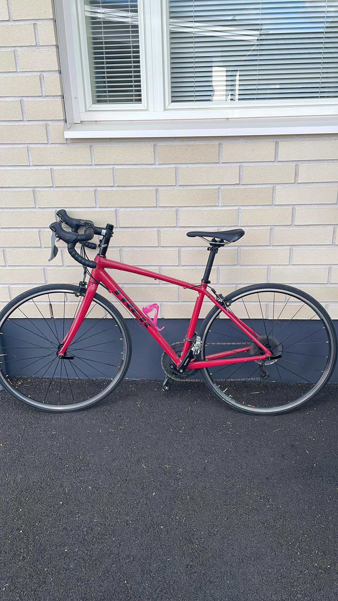 Is the Trek Domane AL2 Disc Size 54 suitable for a beginner's