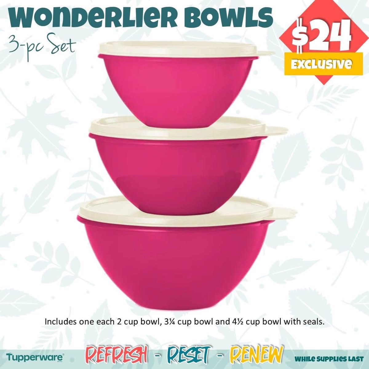 HOME OF MARYS VIP TUPPERWARE Clearance Catalogs Brochures Sales ...