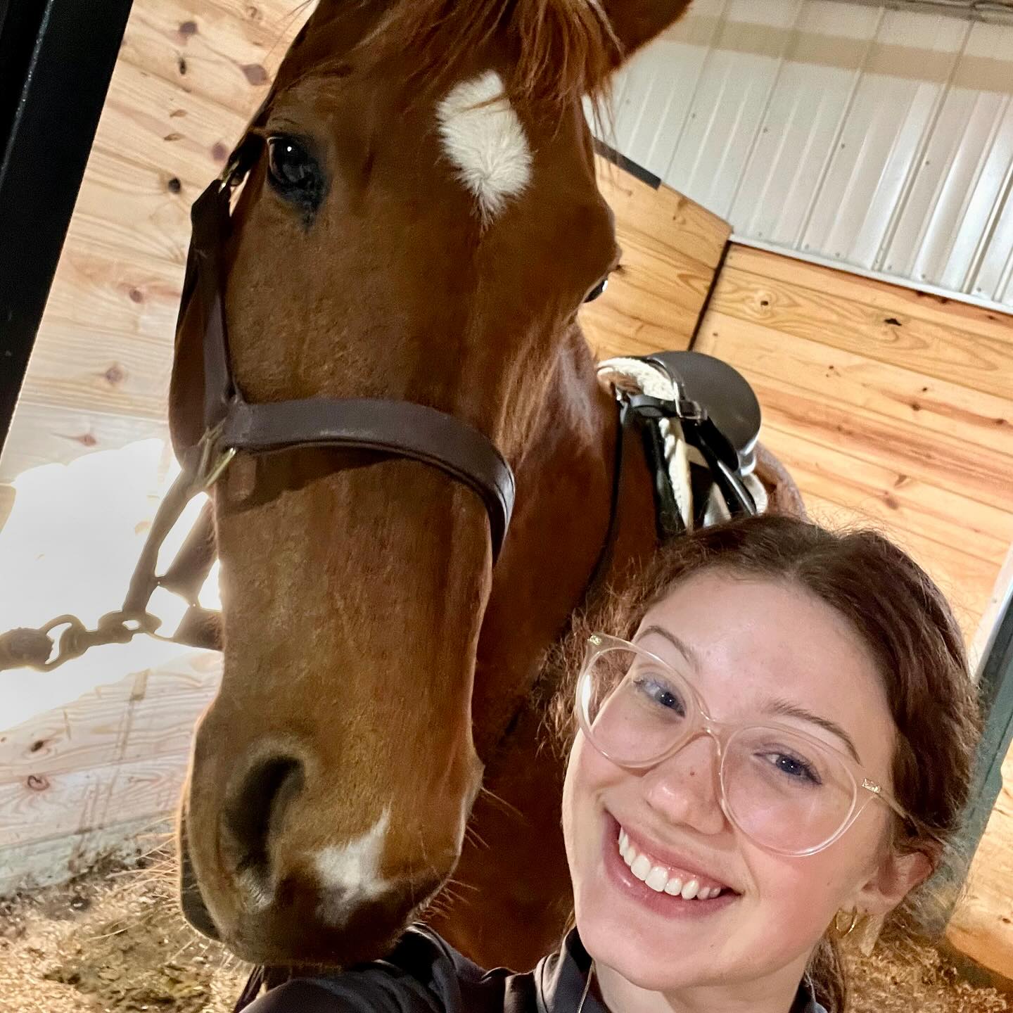 Meet Renna! Renna is a sassy,... - UWL Equestrian Team