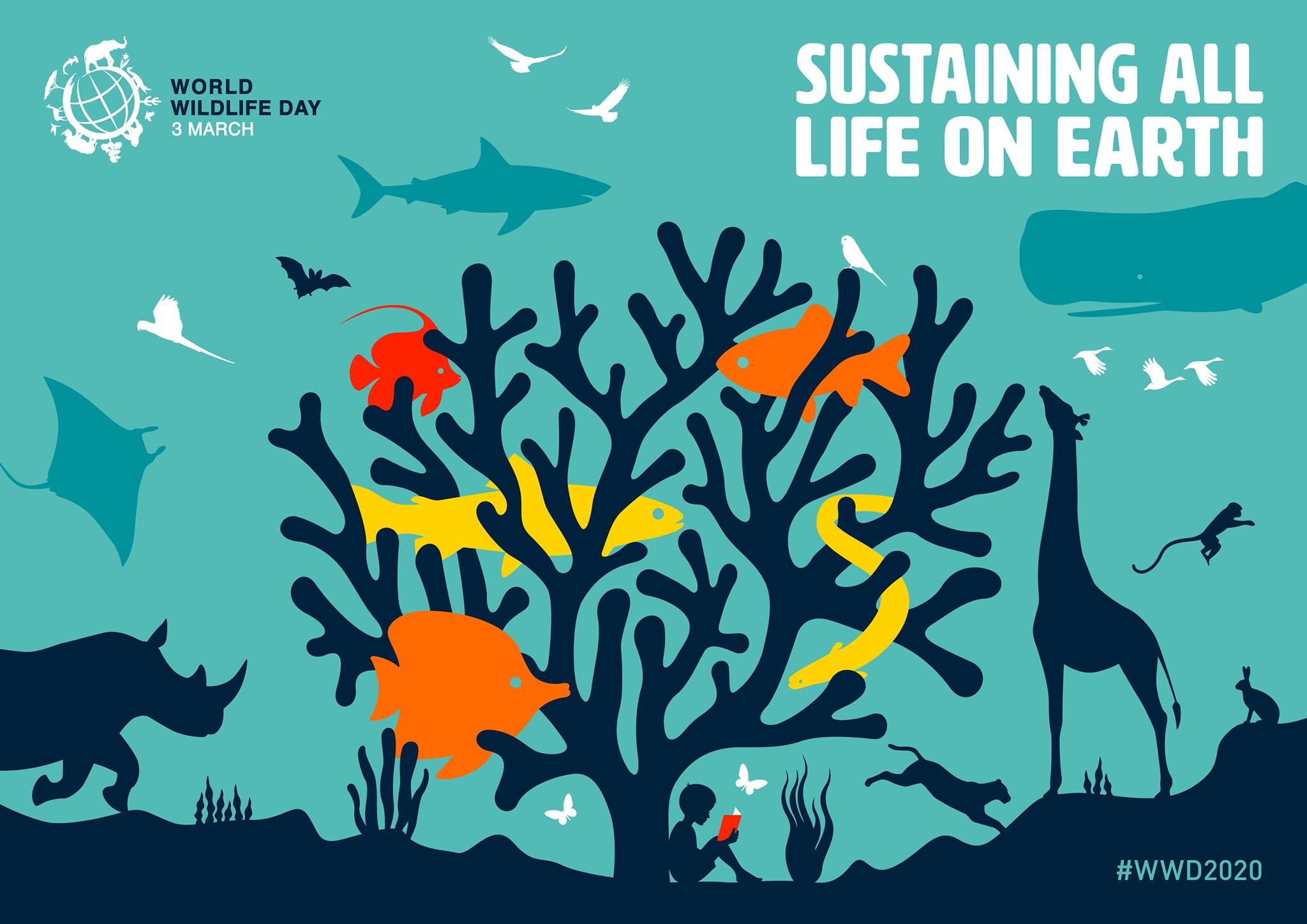 On Sunday we will be celebrating... - Exploris Aquarium