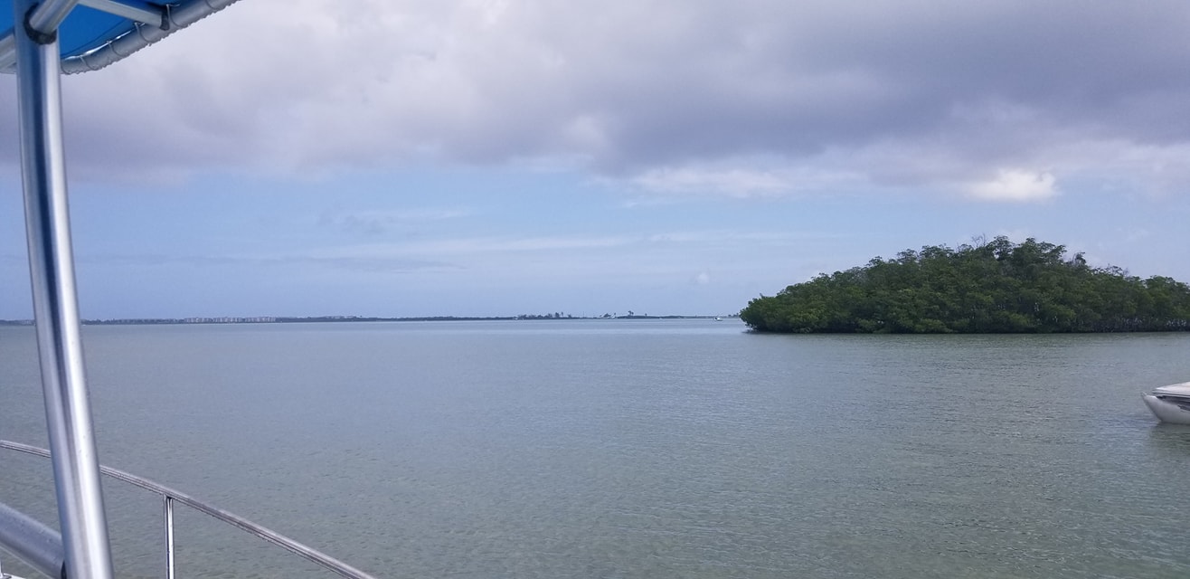 Proline Owner Forum | Jensen Beach FL