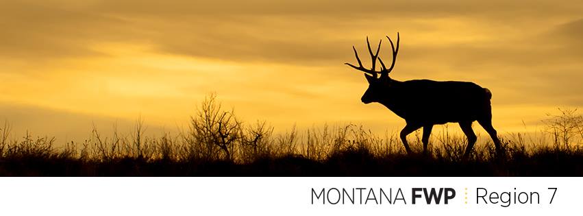 WINNERS! ANSWER and map in... - Where in Montana is THAT? | Facebook