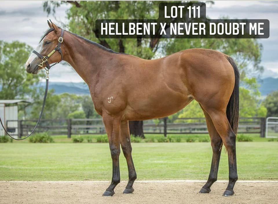 Snowden Racing - We’re off the mark at the Inglis Classic...