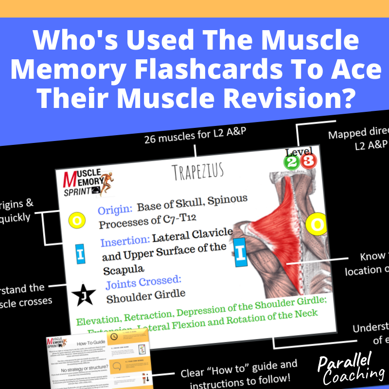 Parallel Coaching - Who's Used The Muscle Memory Flashcards To Ace ...