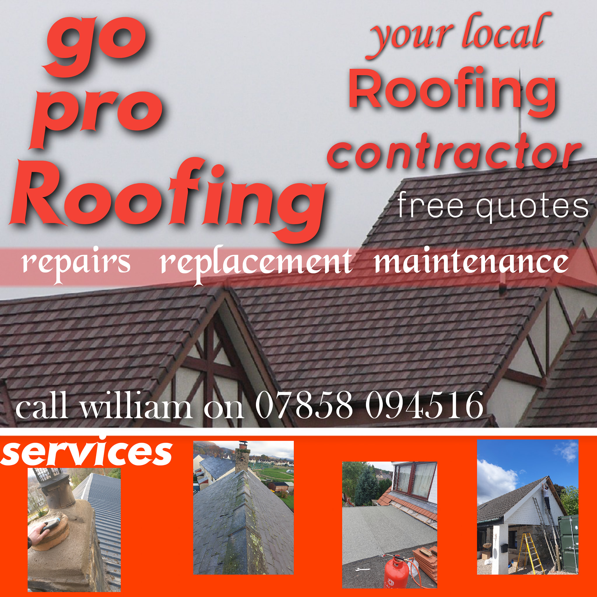 Go Pro Roofing