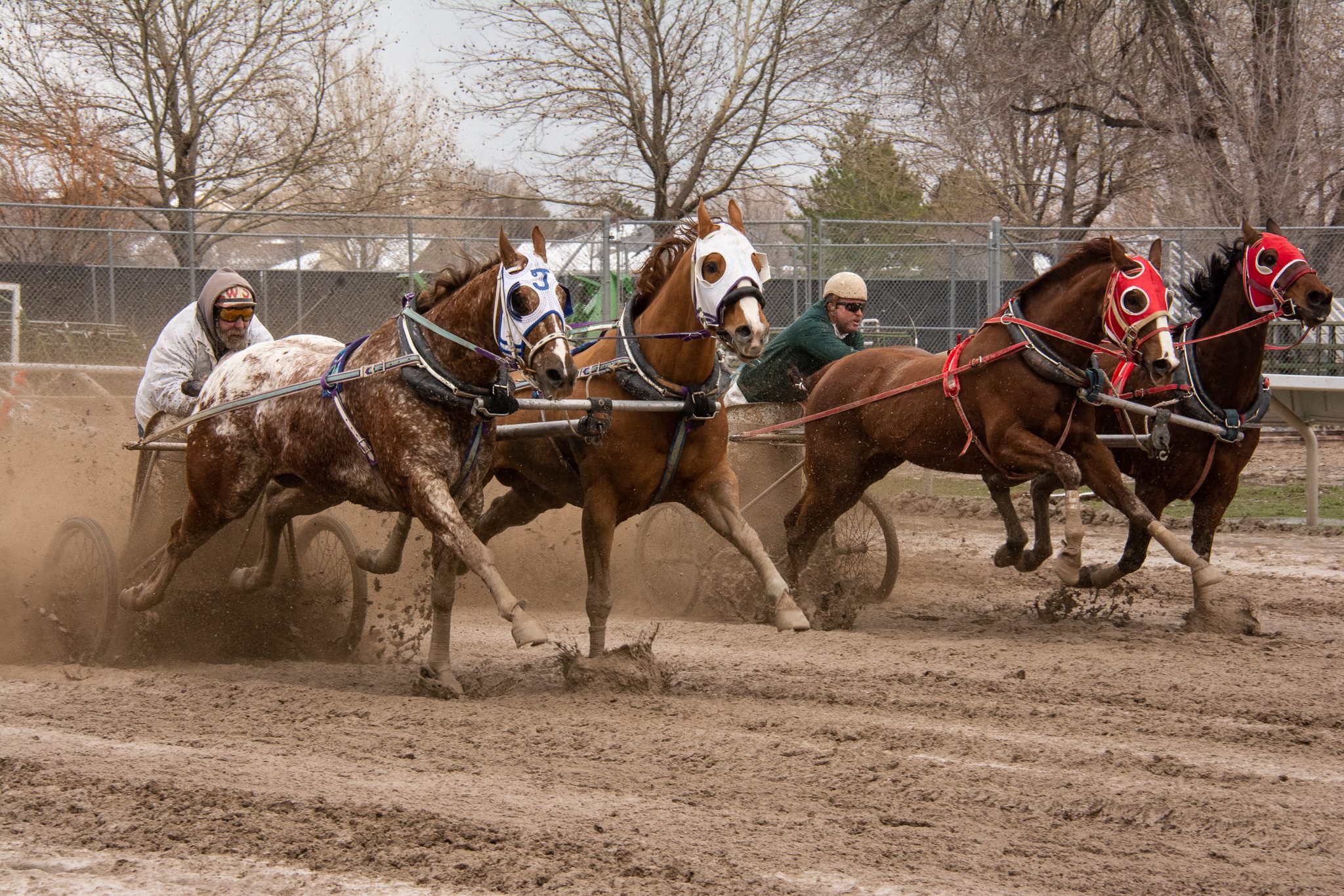 Keller &... - All American Cutter/Chariot Races - Afton, WY
