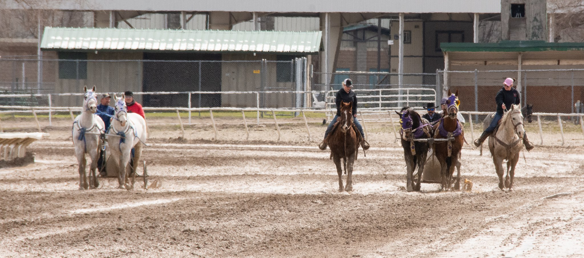 The tenth... - All American Cutter/Chariot Races - Afton, WY | Facebook