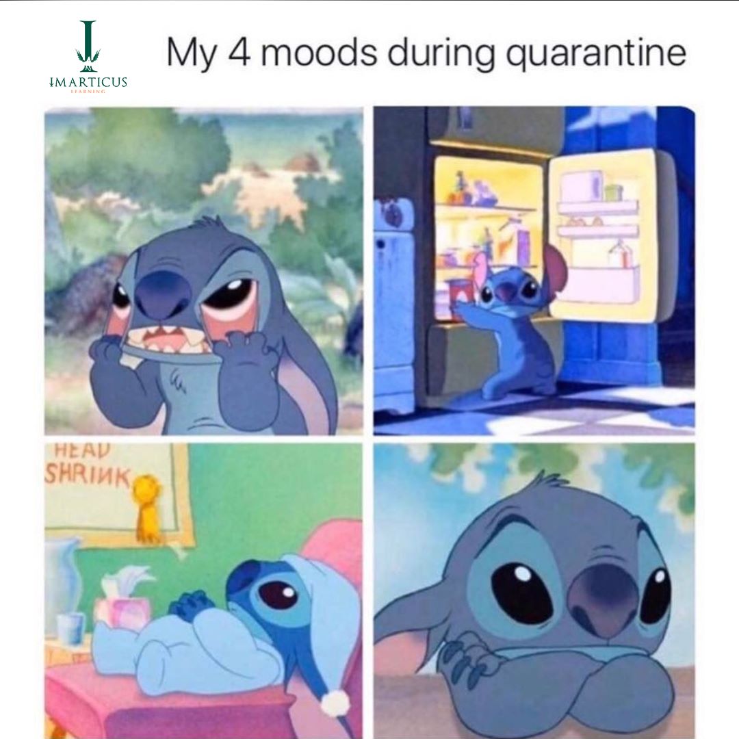 Who else is Stitch? #memes #stitch... - Imarticus Learning | Facebook