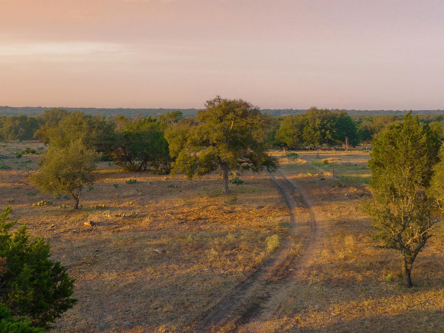 Shipley Ranches | Austin TX