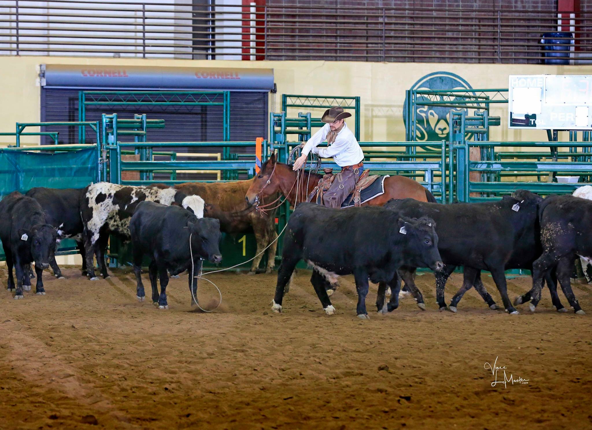 💥The CSU Spring... - Snyder Performance Horses, LLC