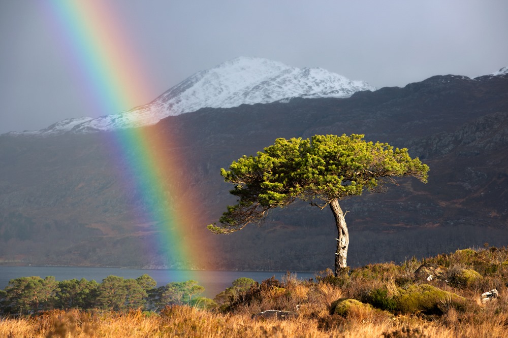 Gavin Ritchie Photography