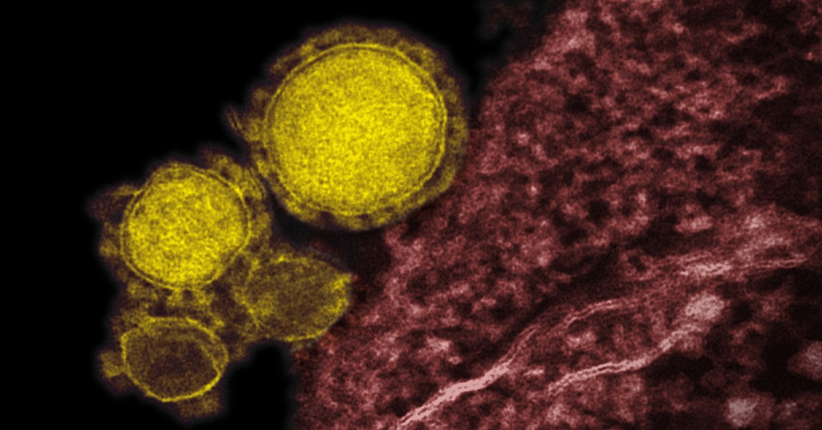 ATCC - ATCC is excited to share new SARS-CoV-2 genomic research ...