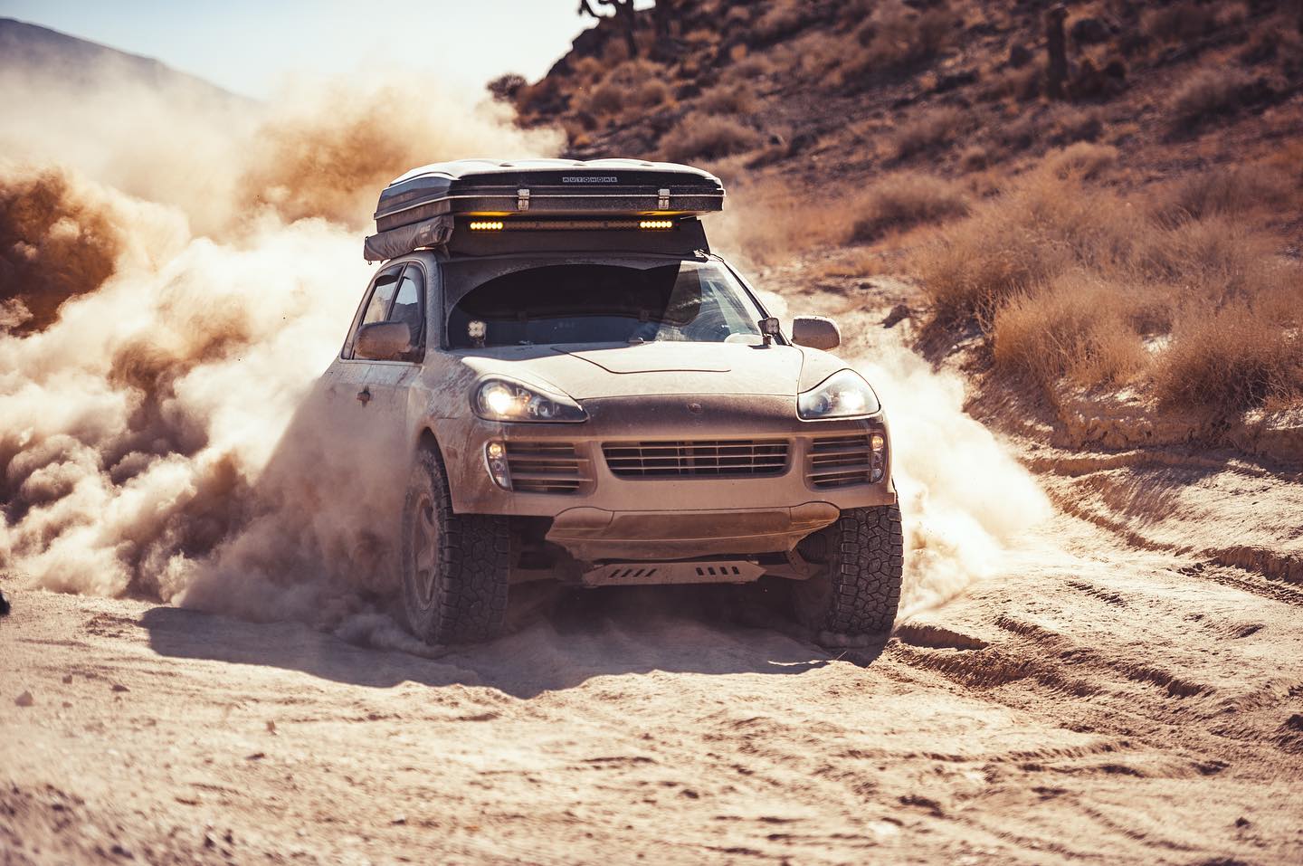 Rogue - Not hot enough? Sprinkle a little cayenne on it! @harry.schoen ...