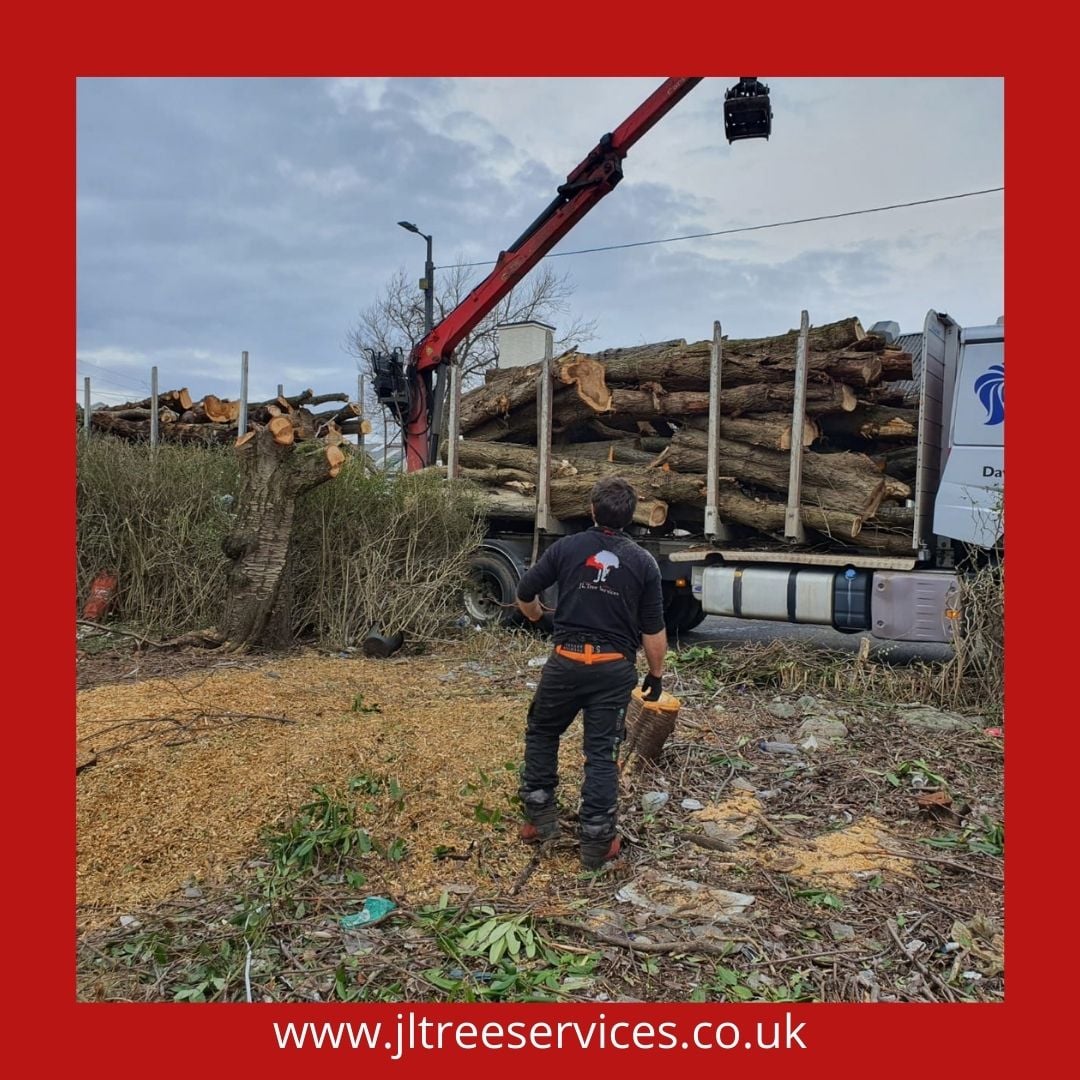 JL Tree Services