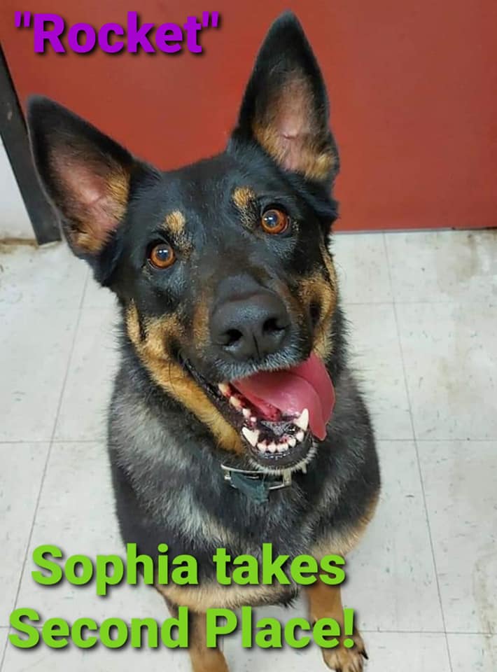 Here are the winners of... - A Better Chance Animal Rescue | Facebook