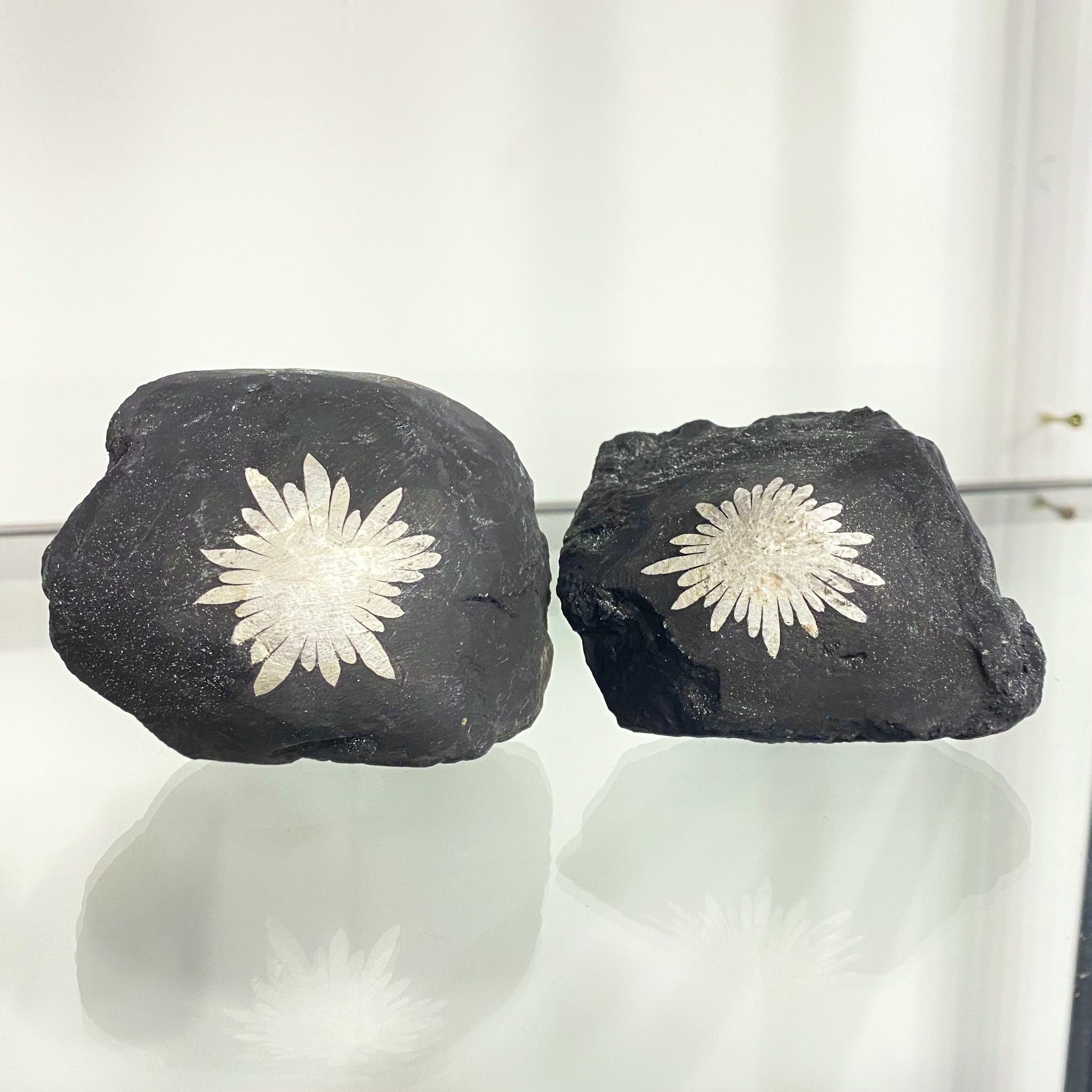 Are chrysanthemum stones real and what do they look like?