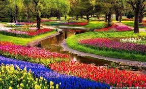 Which is the World largest botanical garden
