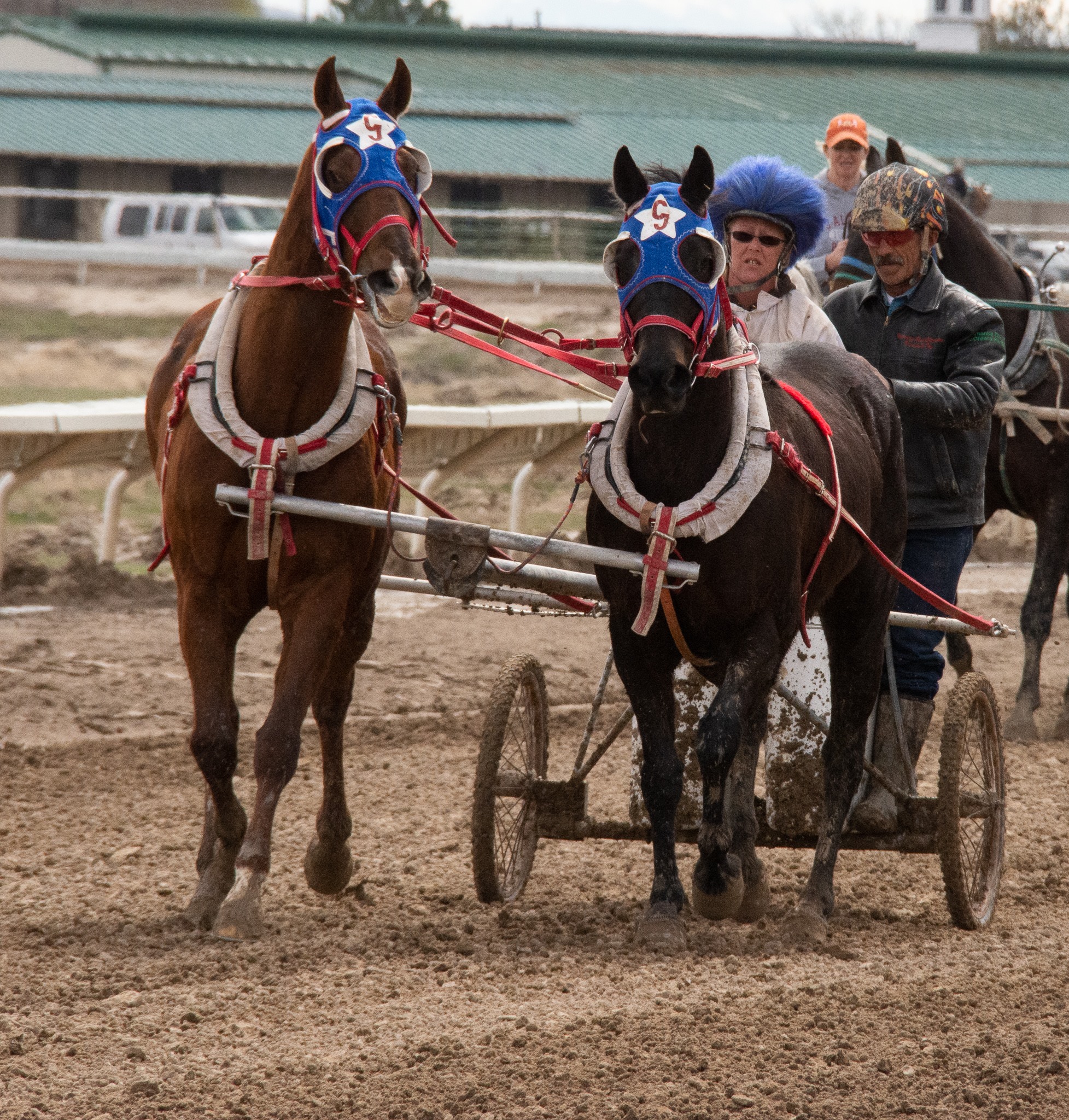 The fourth... - All American Cutter/Chariot Races - Afton, WY | Facebook