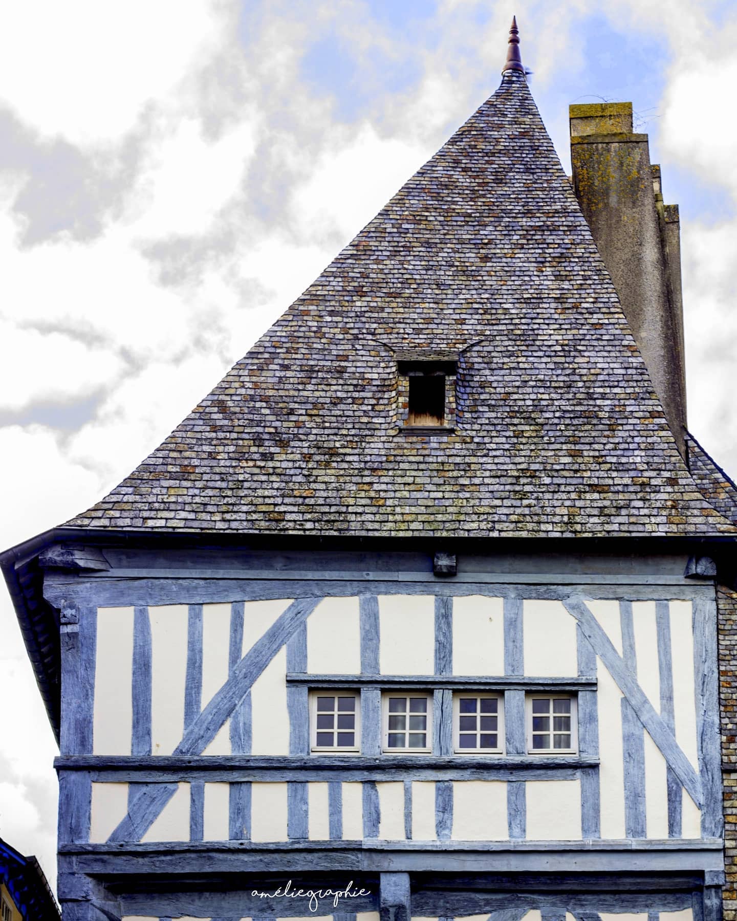 am-liegraphie-souvenirs-d-une-maison-bleue