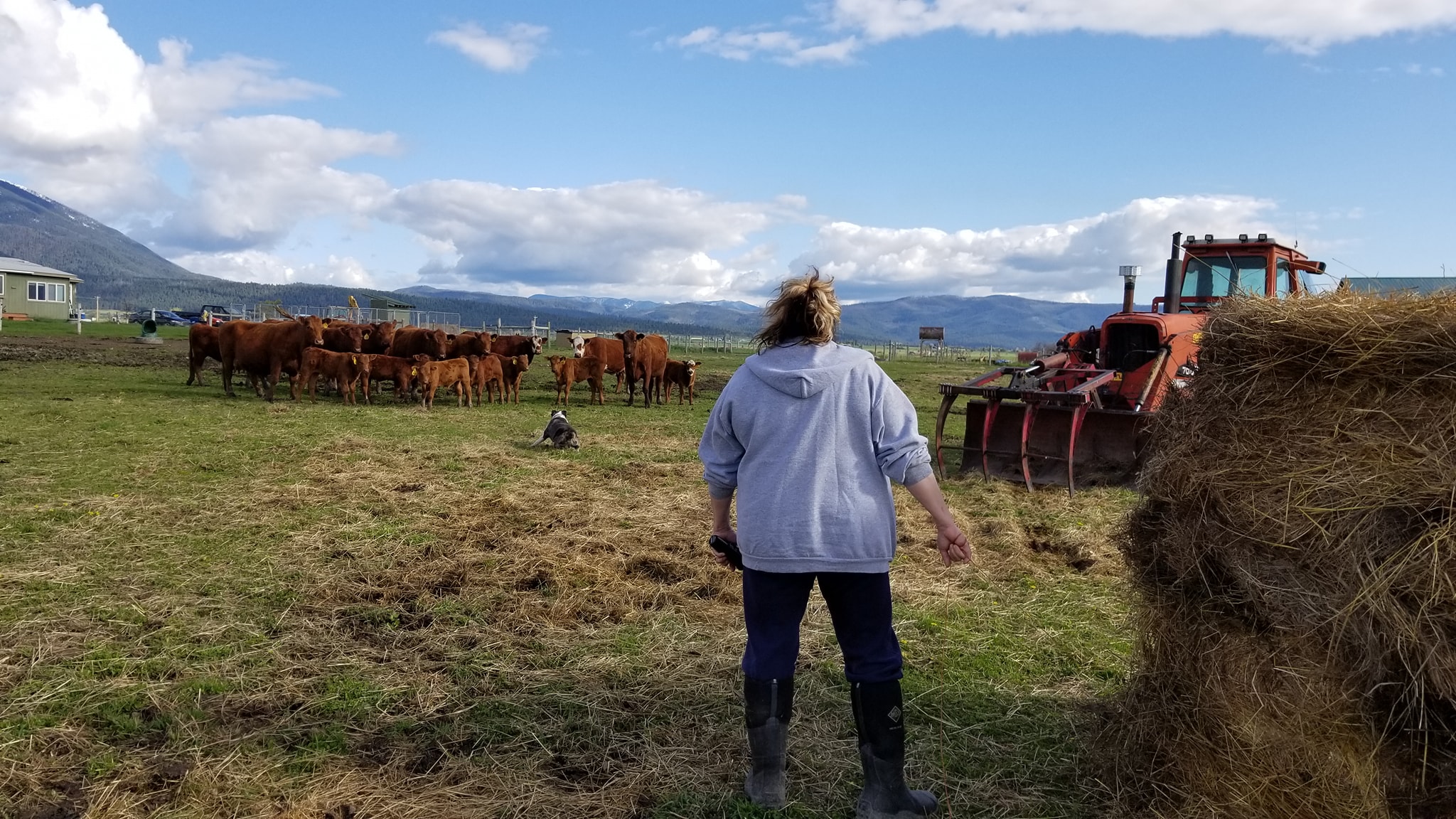 Open Gate Ranch