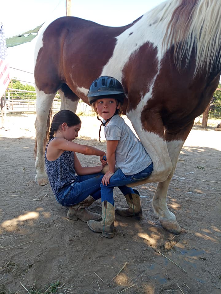 Twisted Bit Ranch Madera | Madera CA