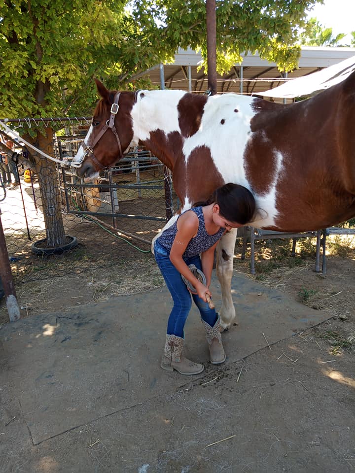 Twisted Bit Ranch Madera | Madera CA