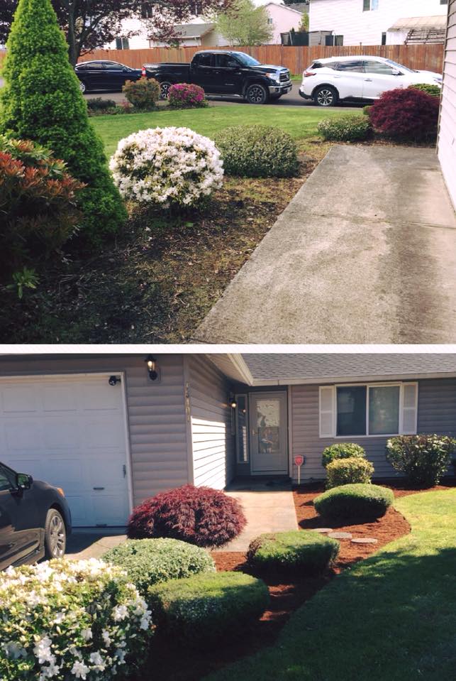 A big job last Spring. Before and... - 5 Starr Yard Service