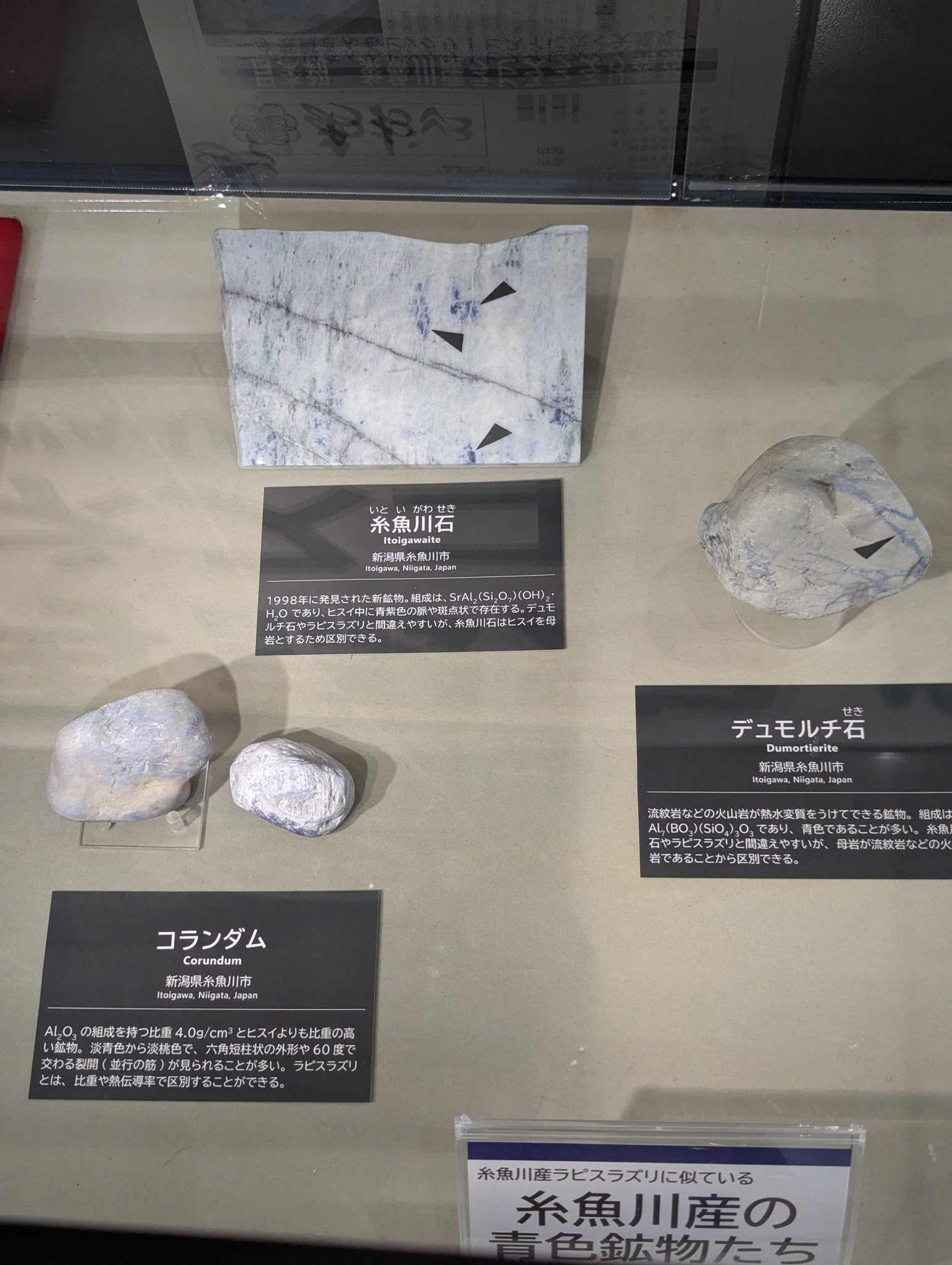 フォッサマグナミュージアムにて…