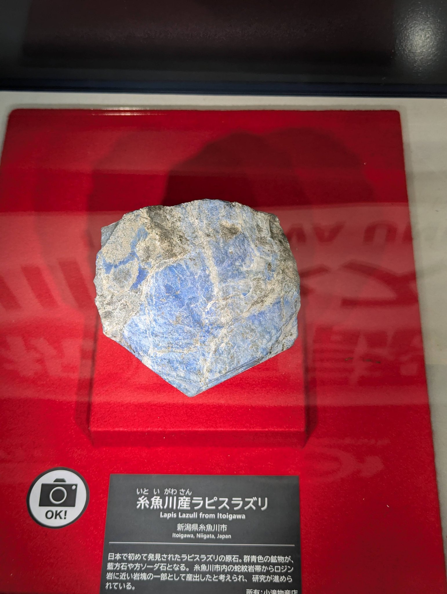 フォッサマグナミュージアムにて…