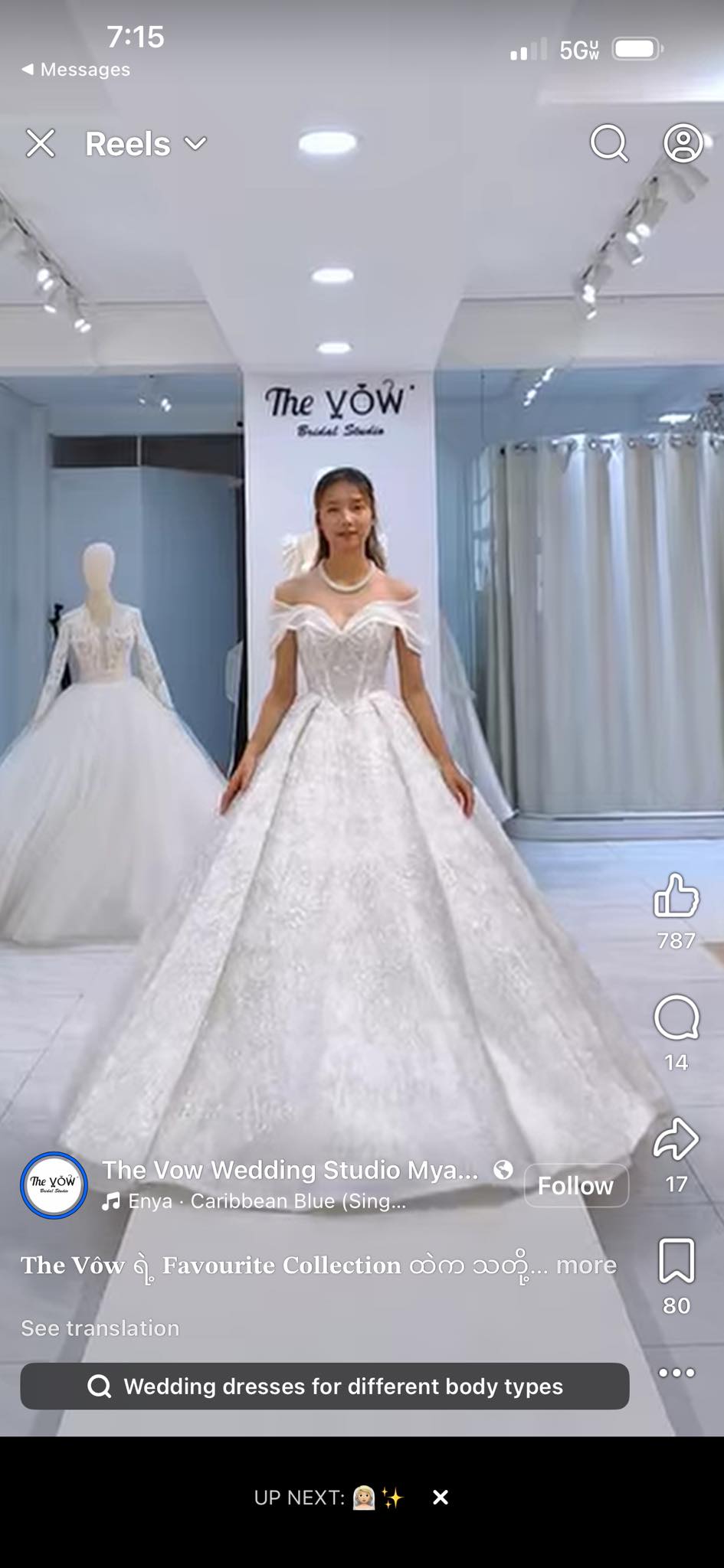 Where to find bridal dresses in this style in Michigan?