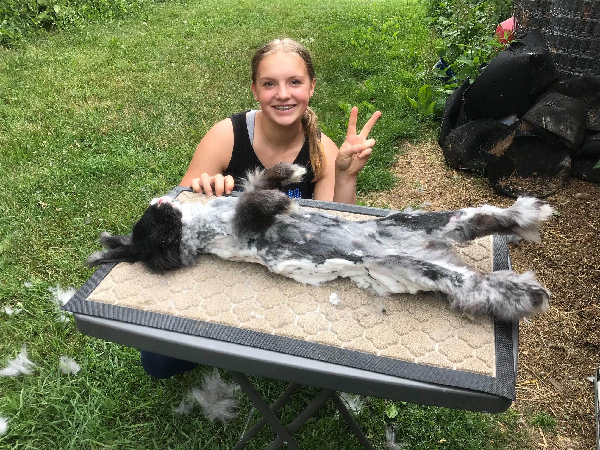 Pulaski Fluff Rabbitry - Giant Angora Rabbits in Jackson, MI