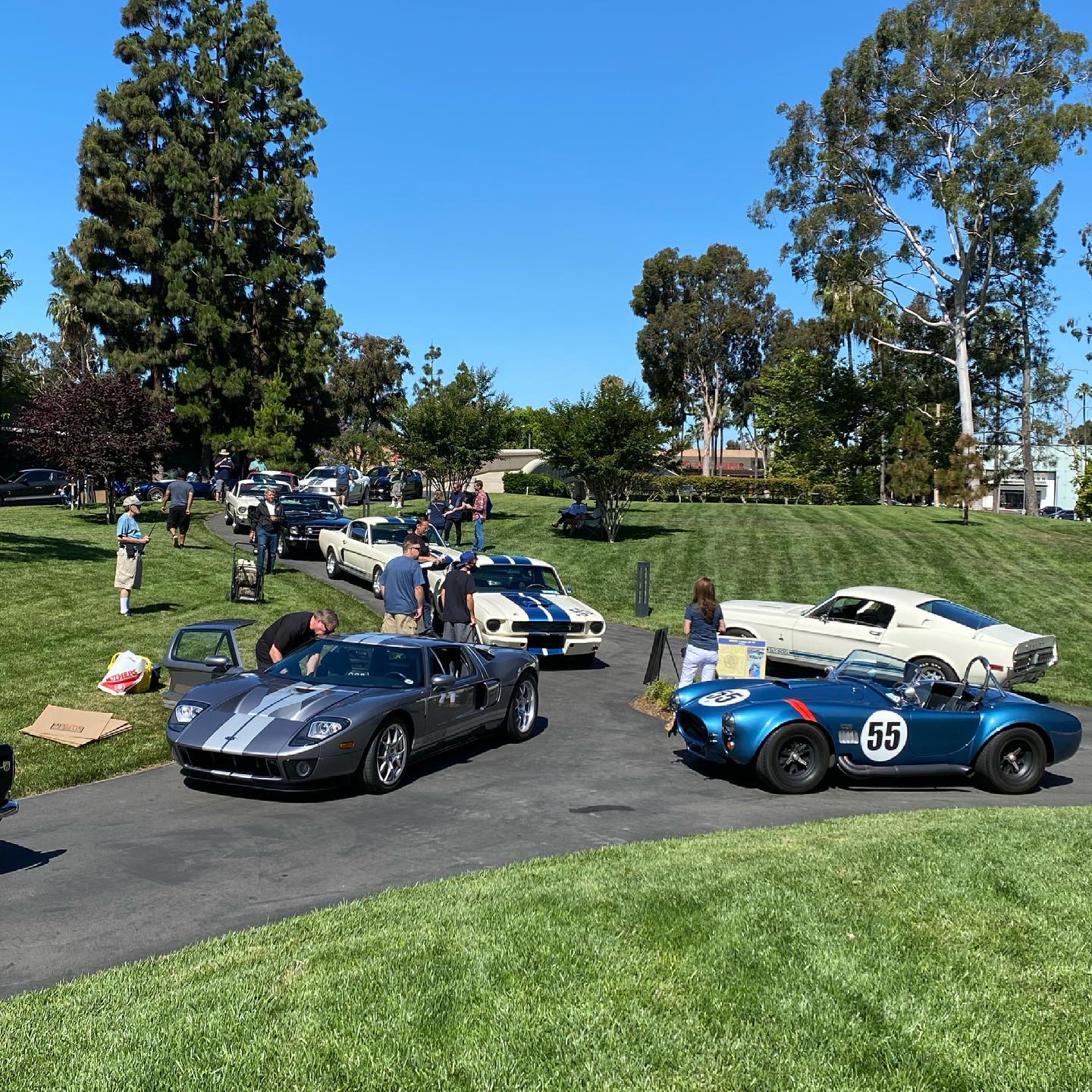 Sam's Classic Muscle Cars