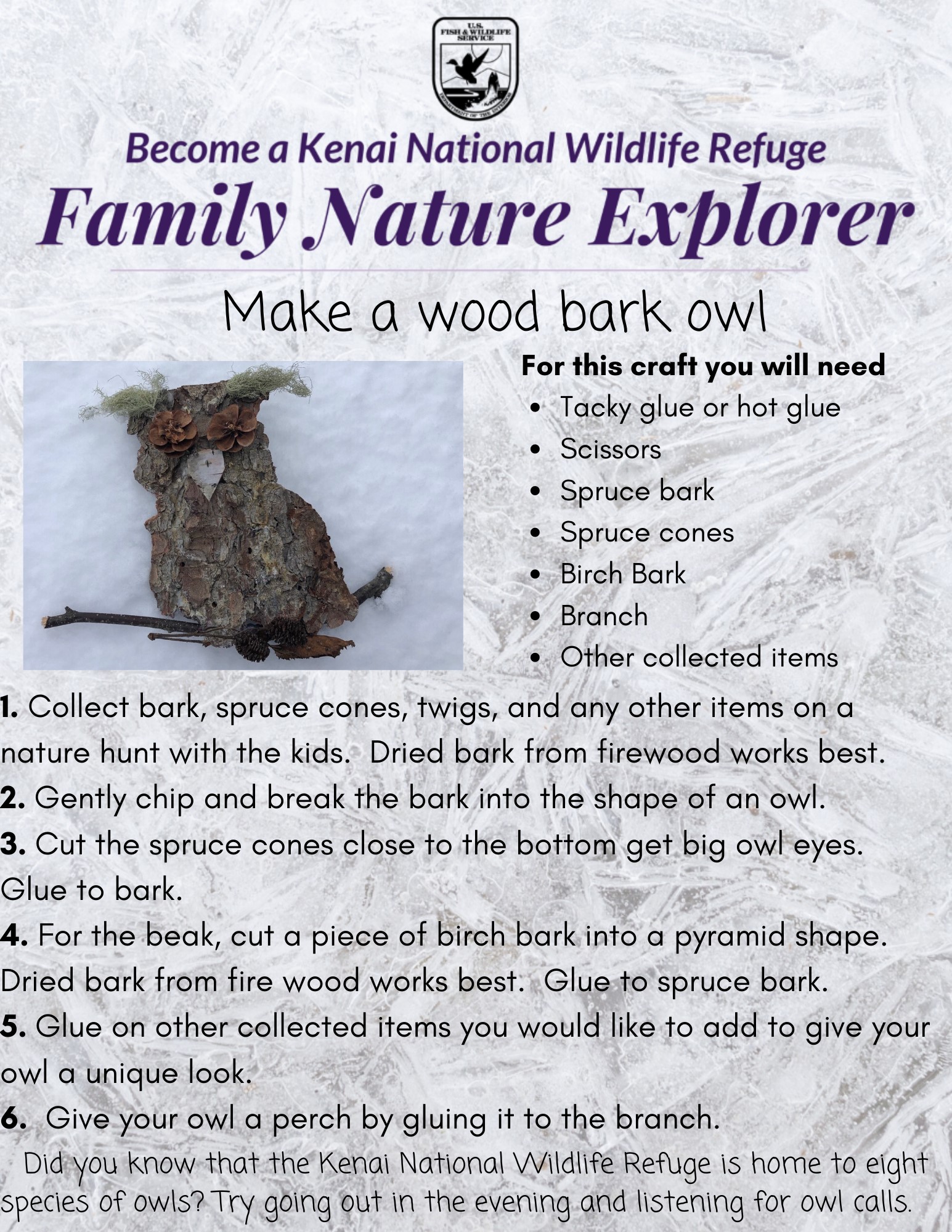 Kenai National Wildlife Refuge - This time of year on the Kenai, owls ...
