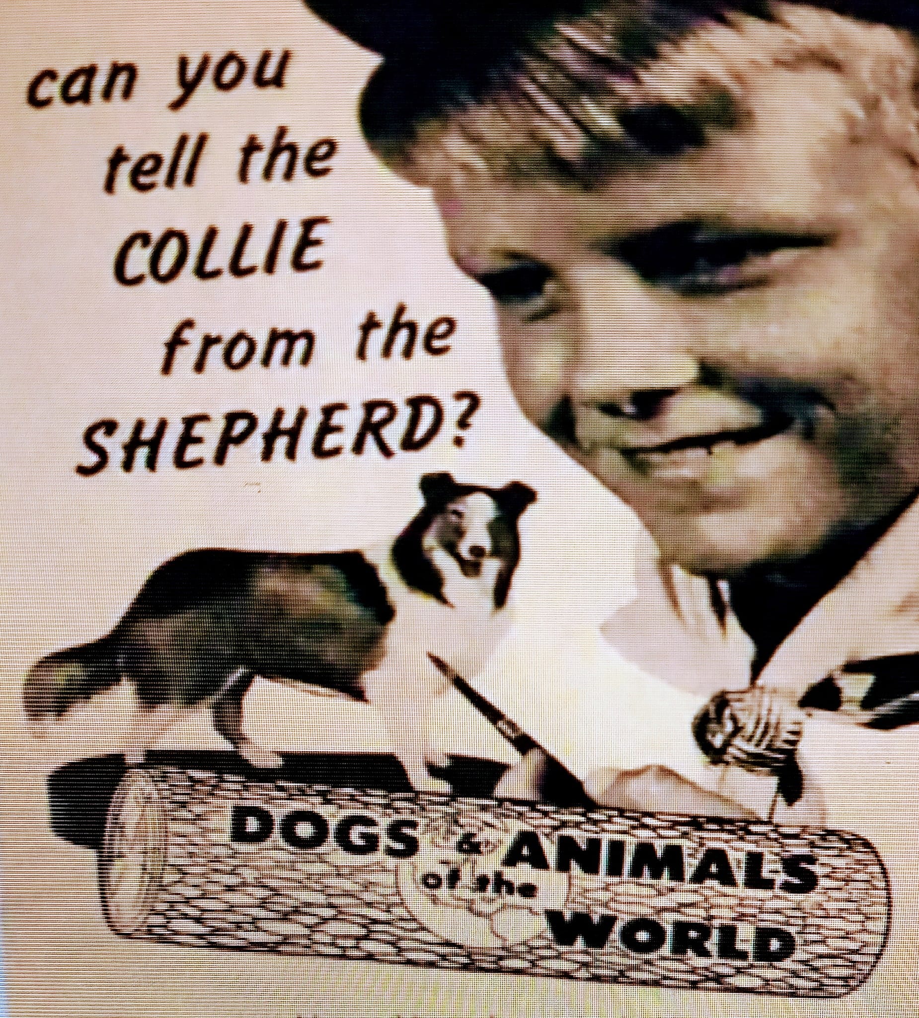 THE VISIBLE DOG Assembly Kit Renwal, 1961 Click for Full Image
