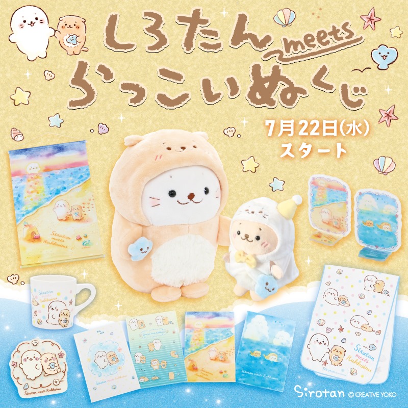 🐚しろたんmeetsらっこいぬくじ予告🐚 しろたんと、新しく出会ったお