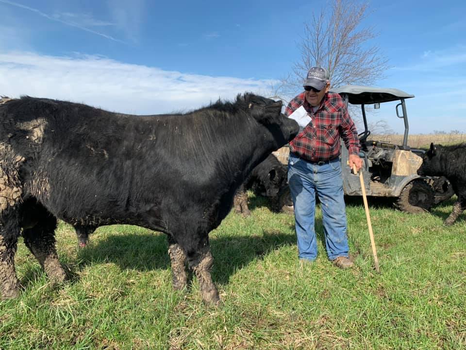 Not sure who was more excited about... - Jones Angus Farms | Facebook