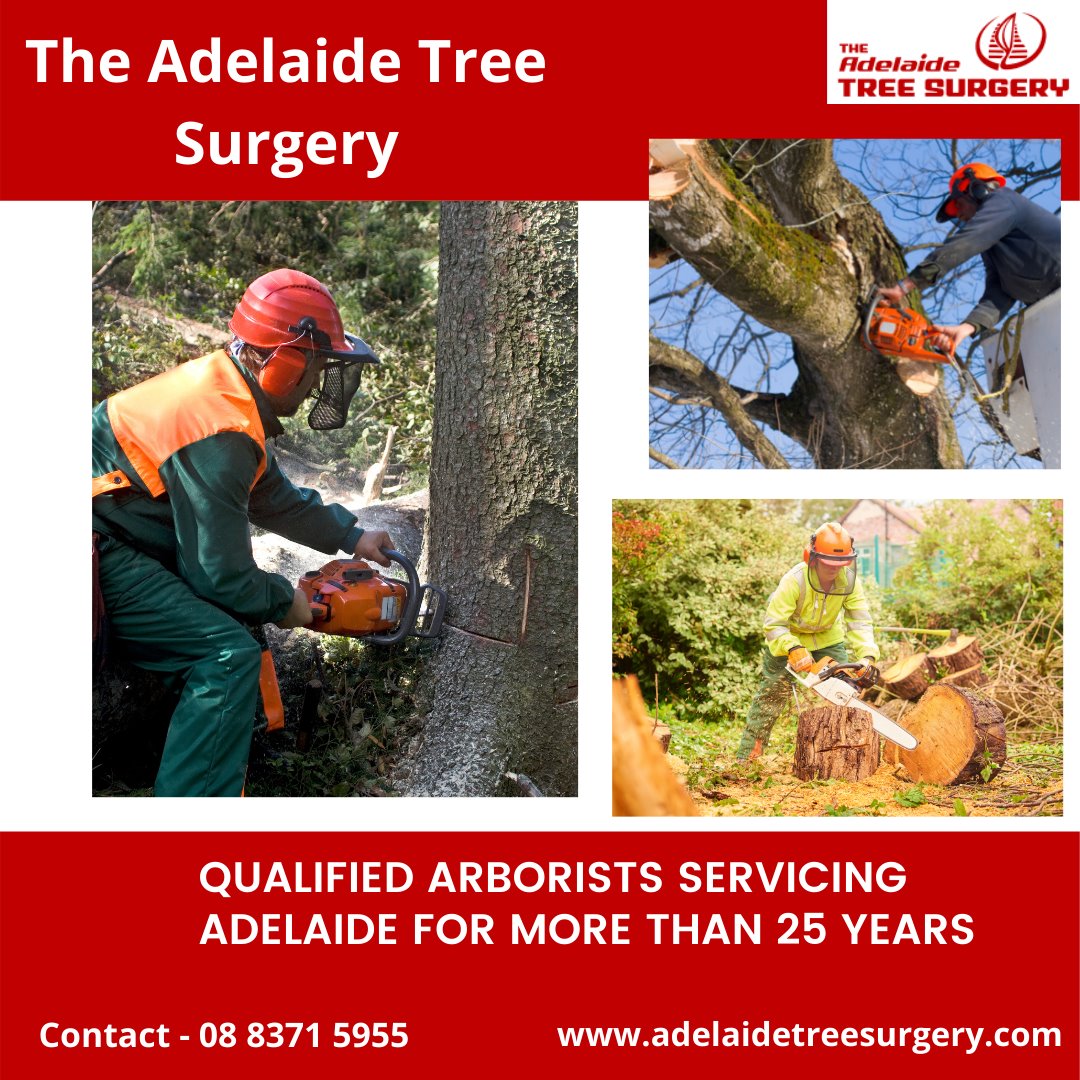 The Adelaide Tree Surgery are... - Adelaide Tree Surgery