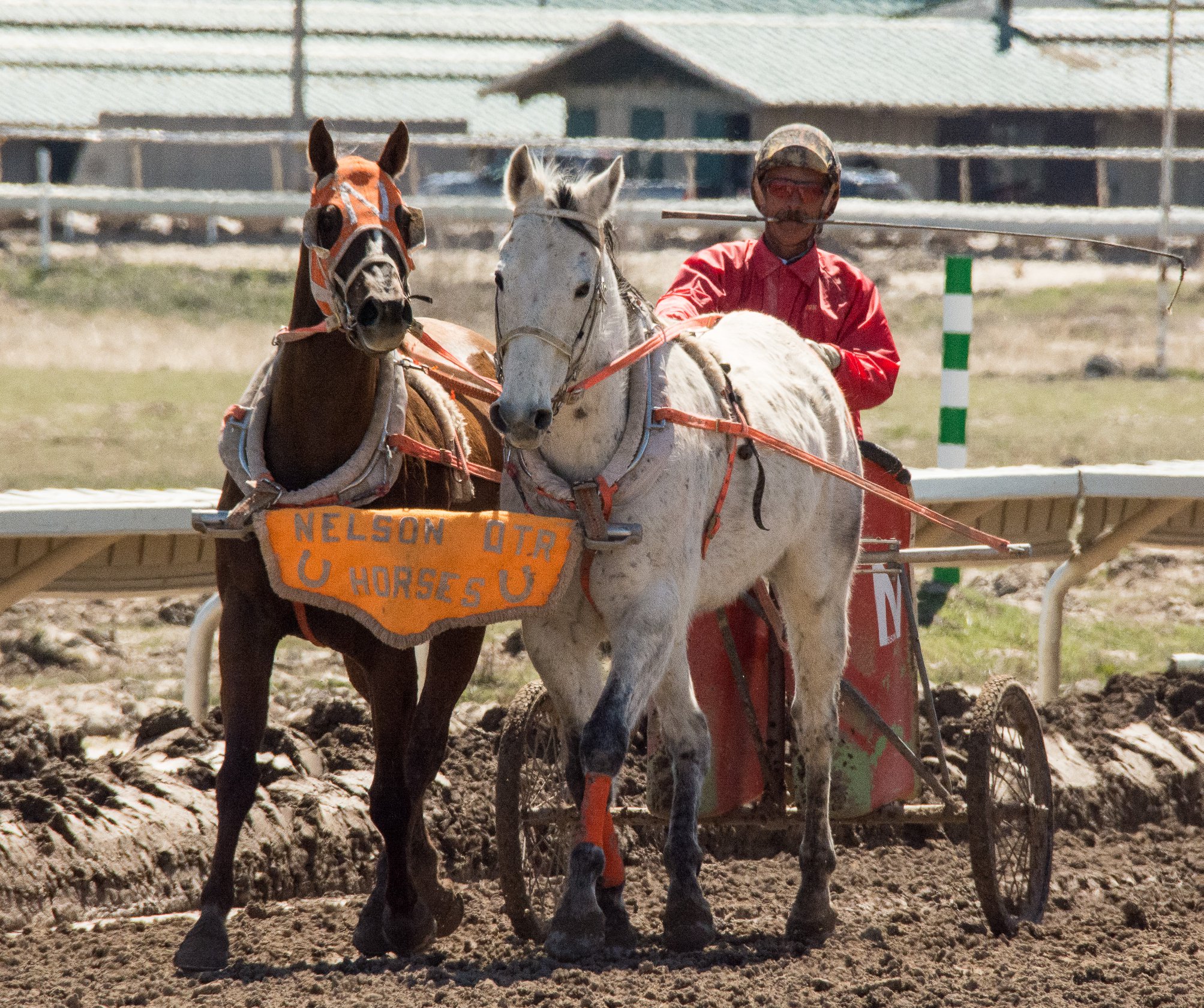 The second... - All American Cutter/Chariot Races - Afton, WY